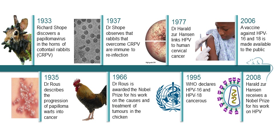 cervical_cancer_timeline2.jpg