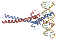 gene-therapy-cancer-gene.jpg