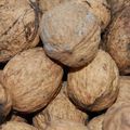 walnuts.jpg