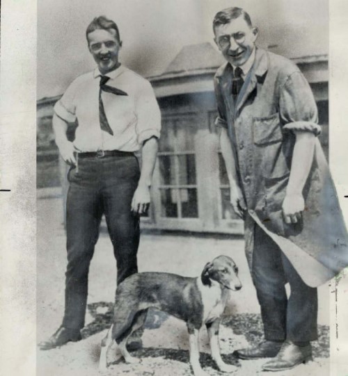 banting-best-insulin-dog.jpeg