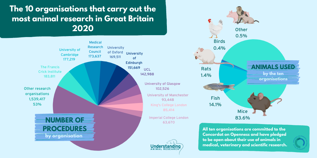 Top_Ten_Animal_Stats_2020_-_Annual_Statistics.png