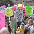 protest–signs.jpg