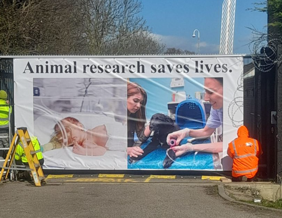 MBR Acres animal rights protest ban animal testing on dogs.png