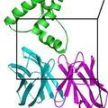 invitro–sticky–antibodies.jpg