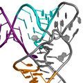 micro–rna–invitro.jpg