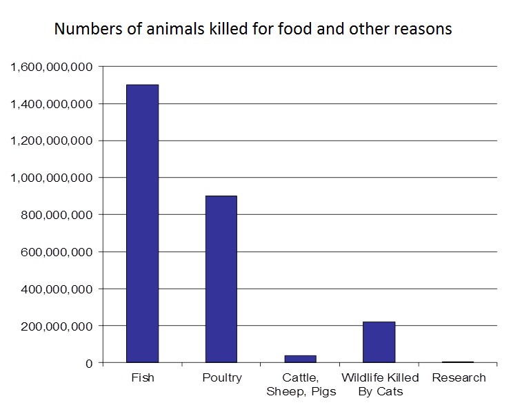 Number_of_Animals_Used.jpg