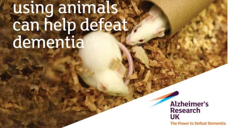 Charities communicating animal research