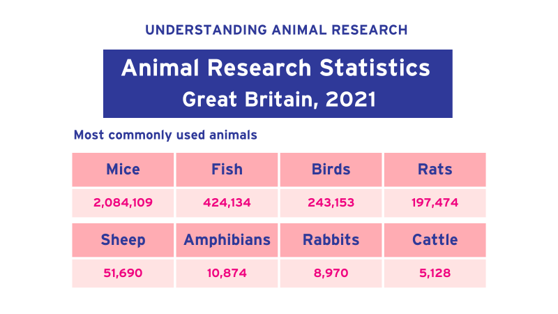 Animal research statistics for Great Britain, 2021 (most used species ...