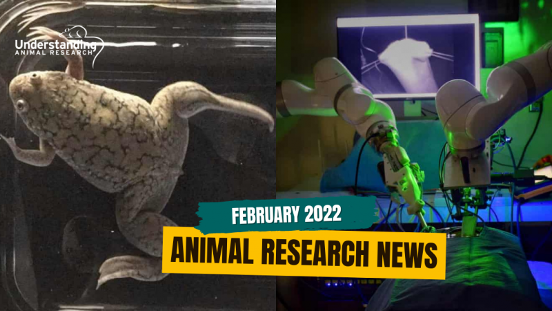 Animal Research News: February 2022