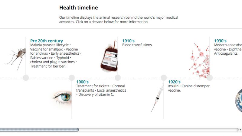 Ten medical breakthroughs thanks to animal testing