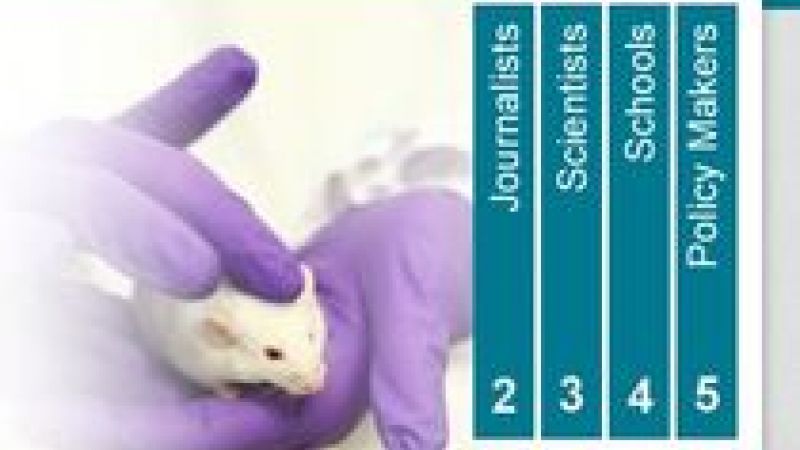 Welcome to our new look