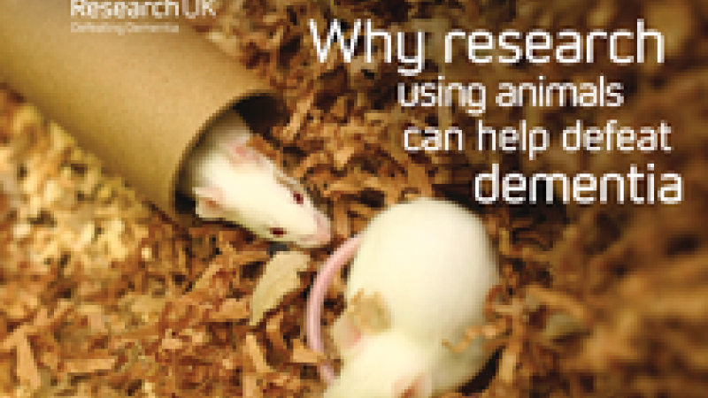 Using mice as a model for Alzheimer's disease
