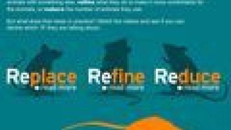 What R you watching? An interactive resource for schools