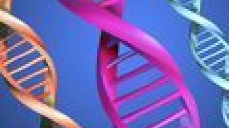 Gene controller causes Down syndrome