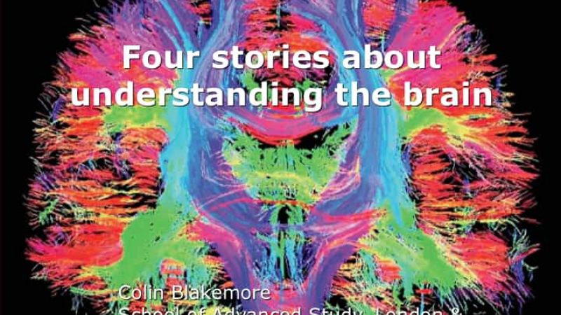 2015 Paget Lecture: Brain stories