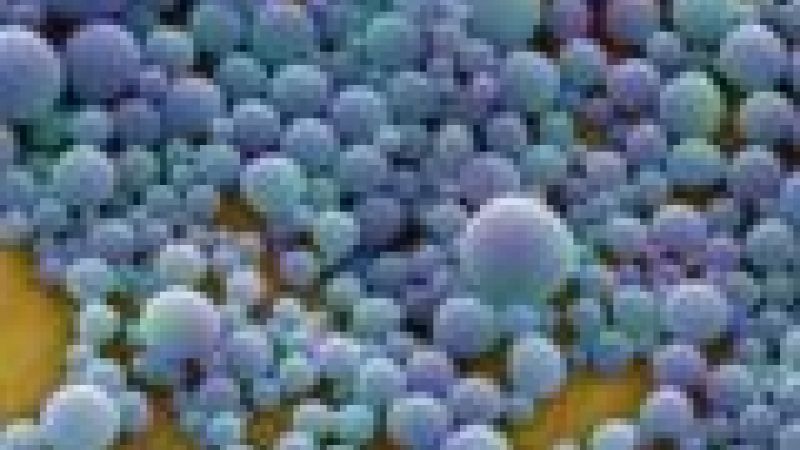 Nanoparticles boost vaccines