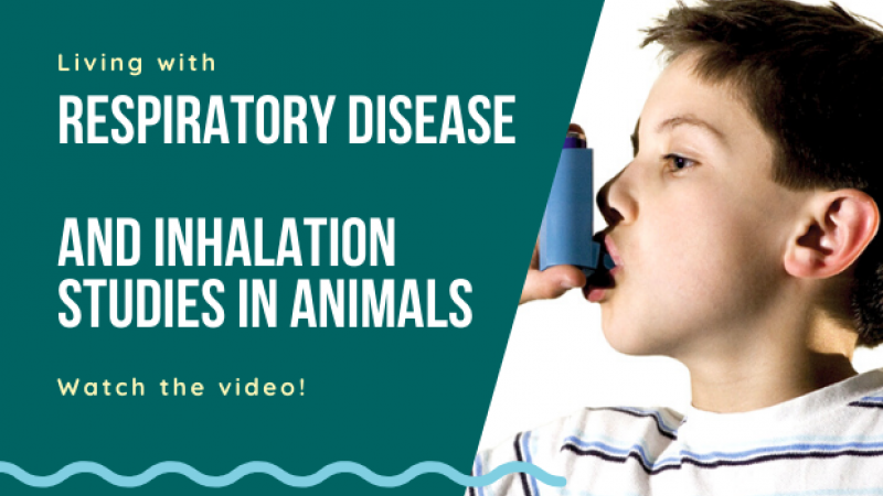 Respiratory disease: asthma and chronic obstructive pulmonary disease