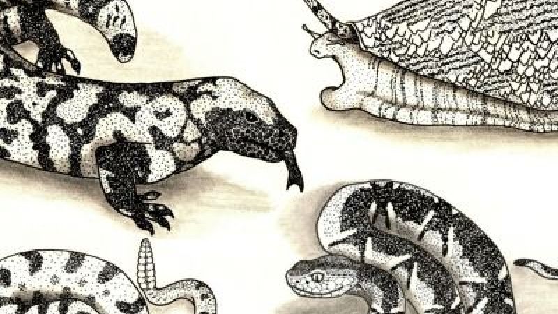 Our Favourite Posts From the Last 10 Years