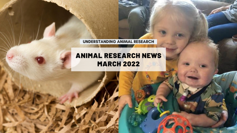 Animal Research News: March 2022