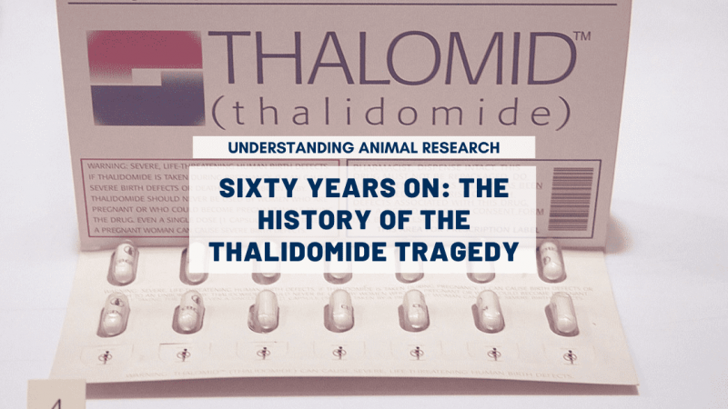 Sixty years on: the history of the thalidomide tragedy