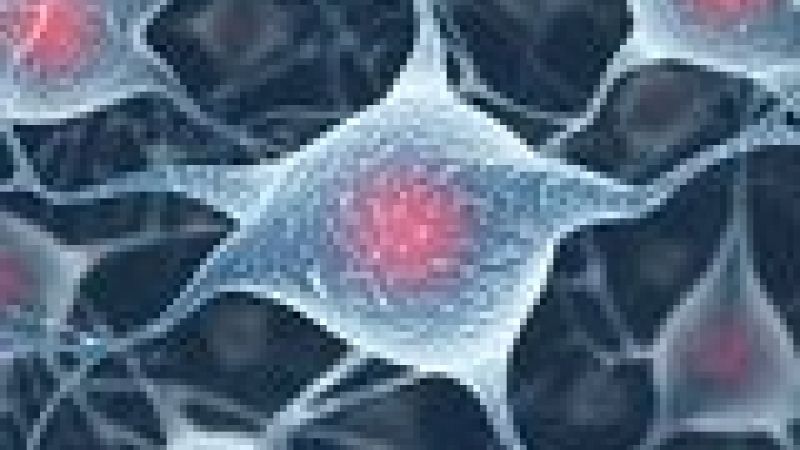 Protein culprit in Huntington's disease