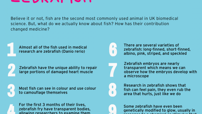 10 facts about fish