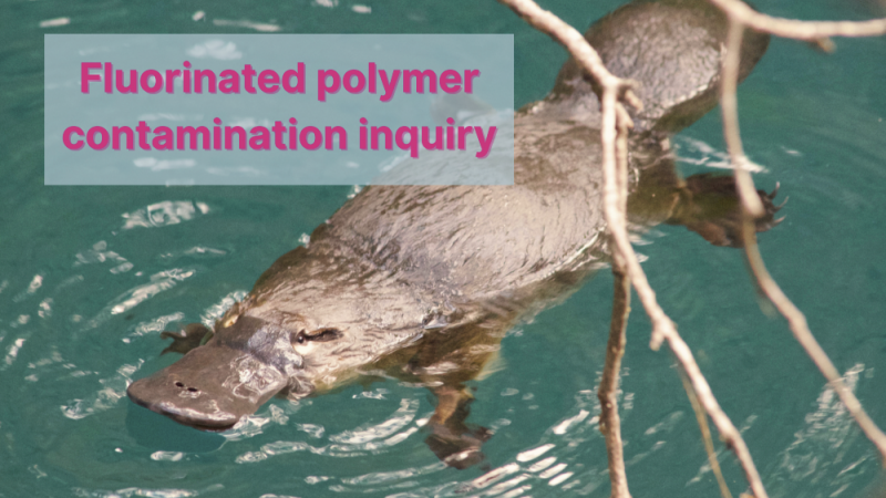 Fluorinated polymer contamination, New South Wales, Australia