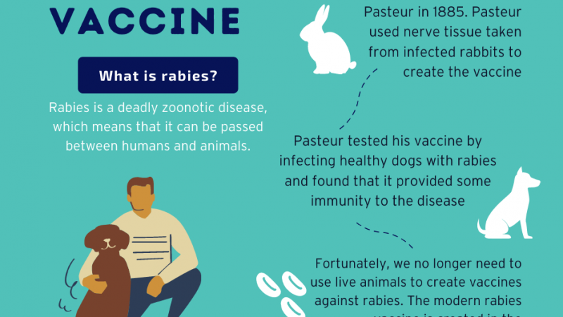 The rabies vaccine