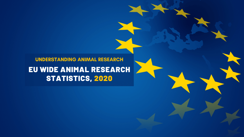 EU wide animal research statistics, 2020