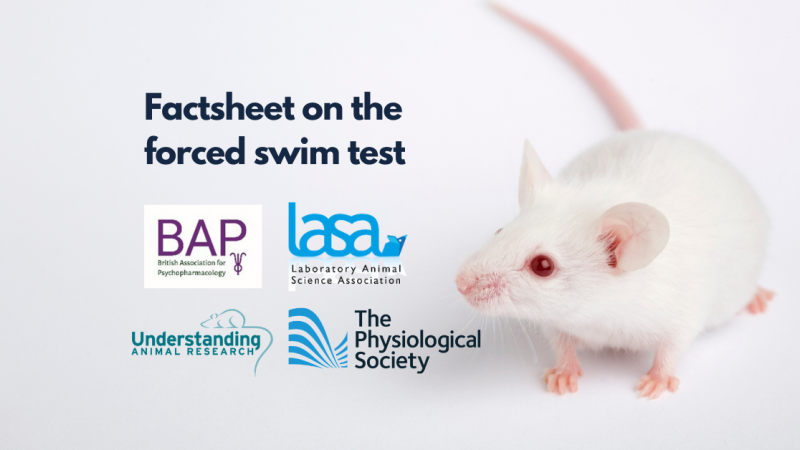 Factsheet on the forced swim test