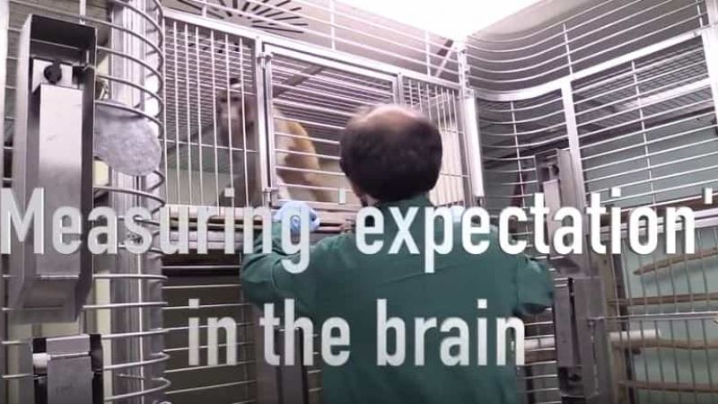 Measuring 'anticipation' in the brain