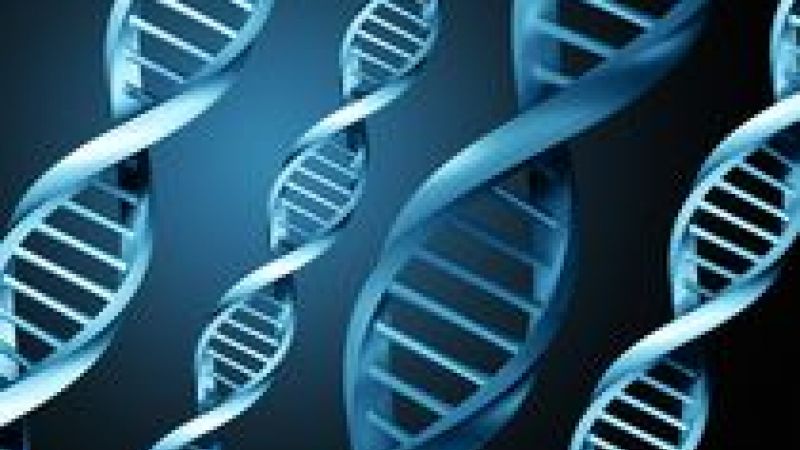 Gene repair treats haemophilia