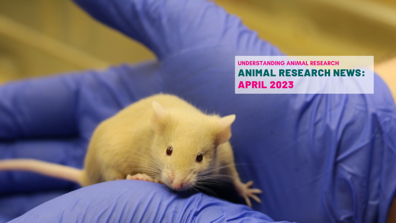 Animal Research News: April 2023