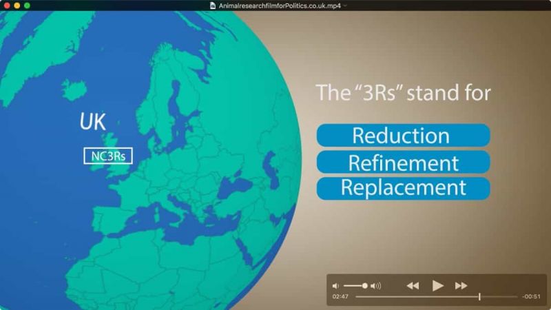 Dispelling myths around animal research