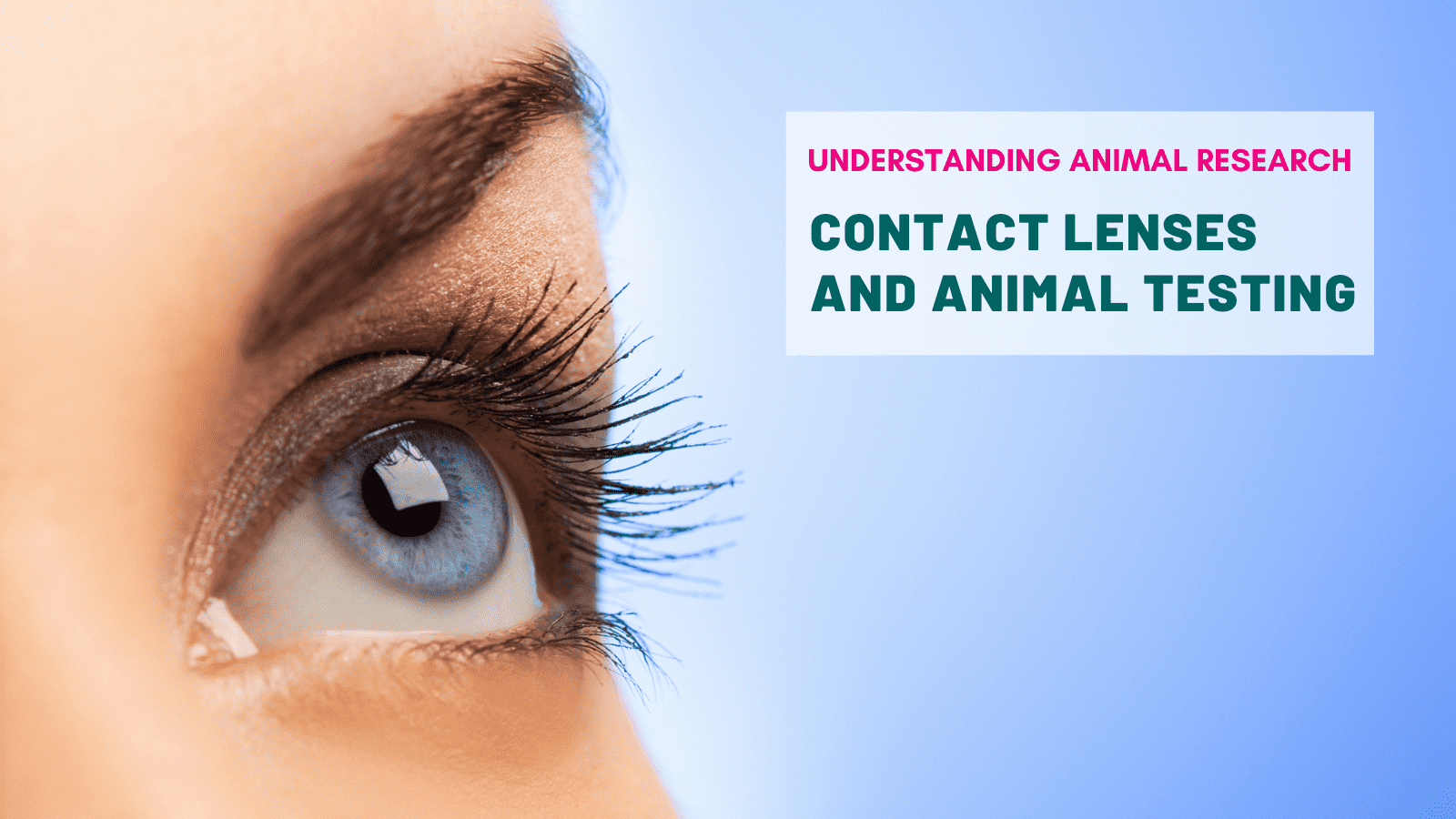 Contact lenses and animal testing