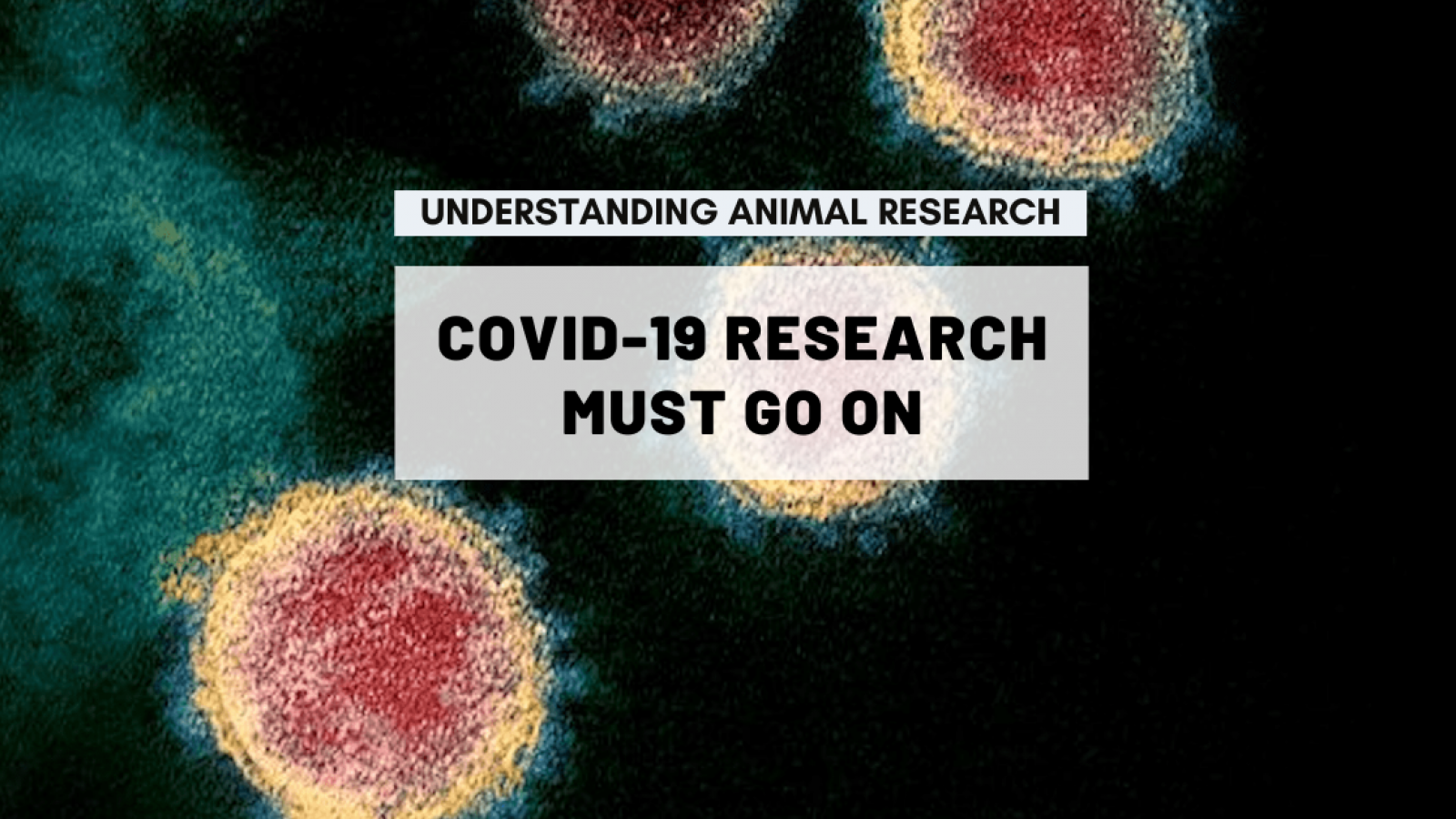 COVID-19 research must go on