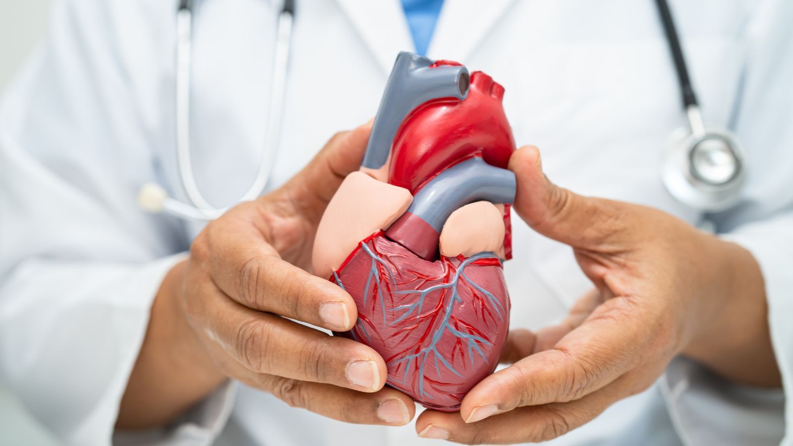 MEGA heart project