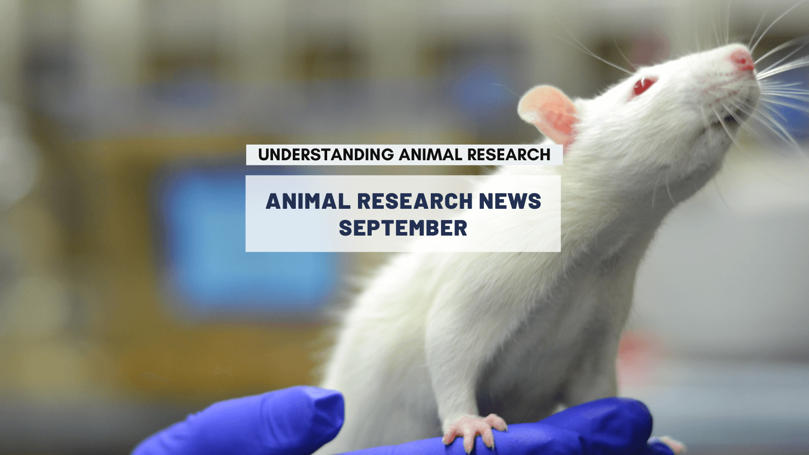 Animal Research News: August and September 2022