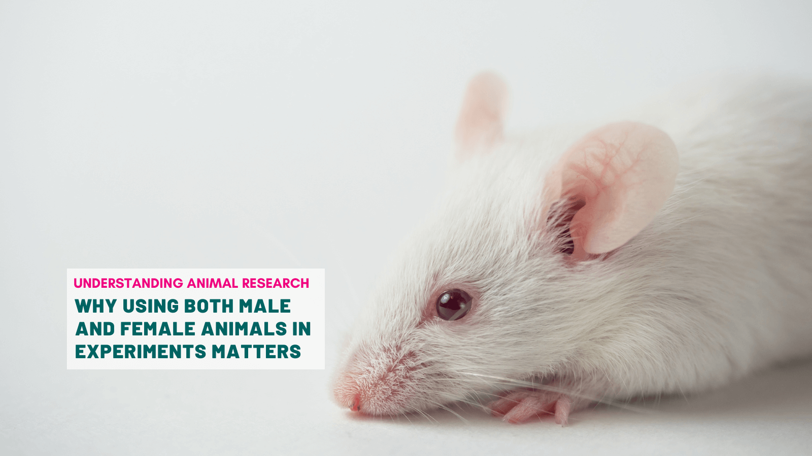 Why using both male and female animals in experiments matters