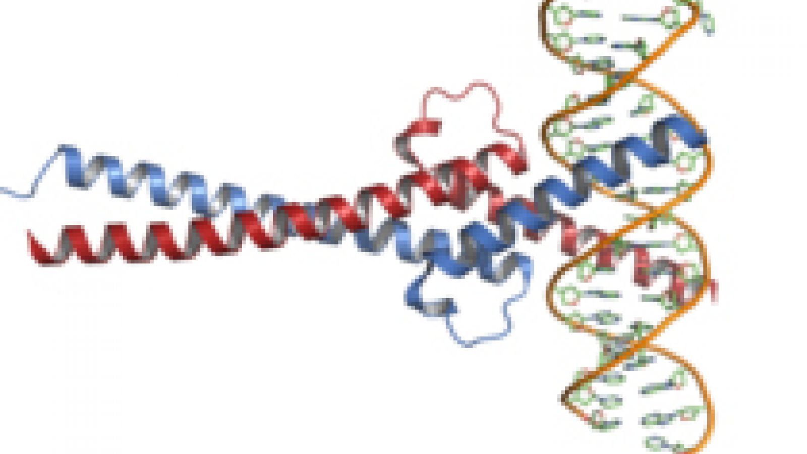 Gene therapy targets 'cancer gene'