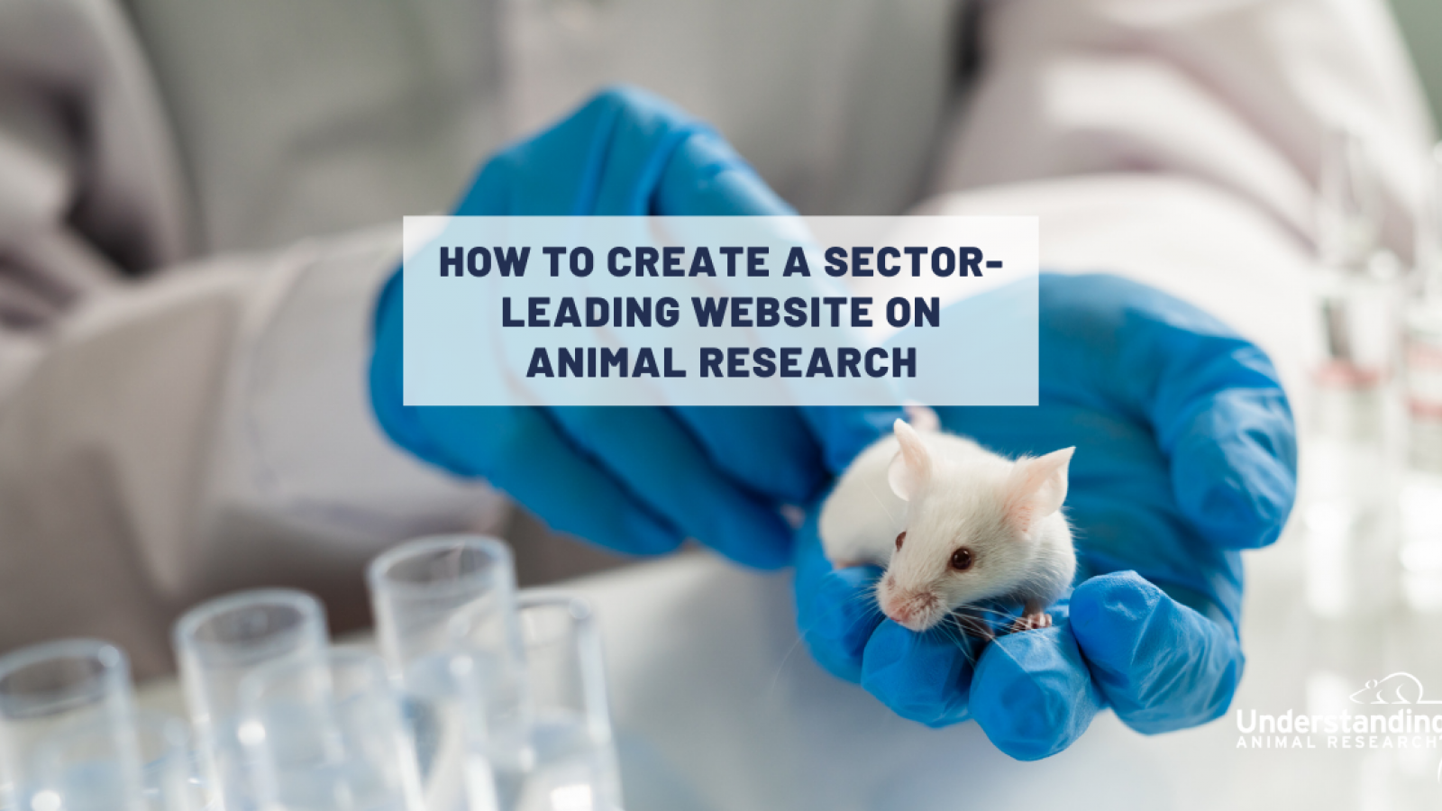 How to create a sector-leading website on animal research