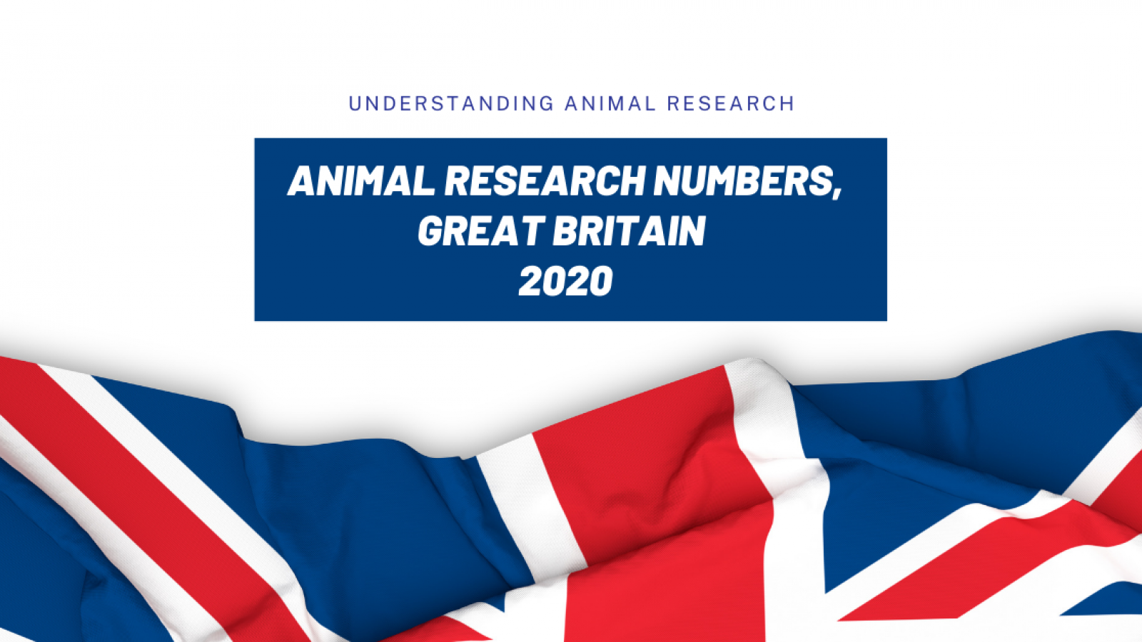 Animal research statistics for Great Britain, 2020