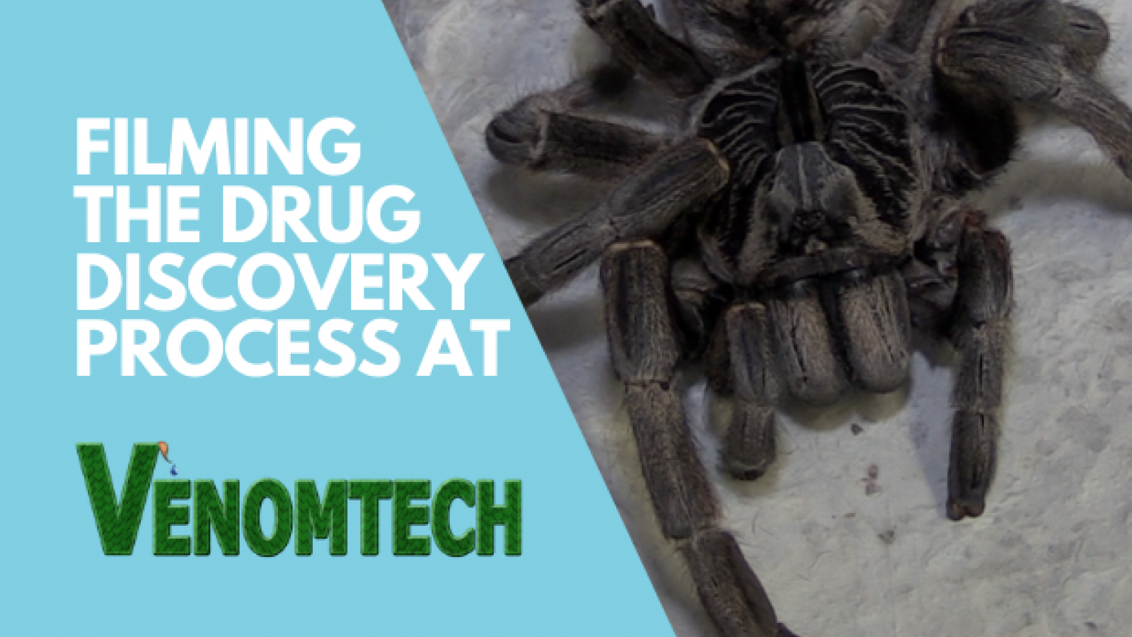 Drug Discovery with Venom