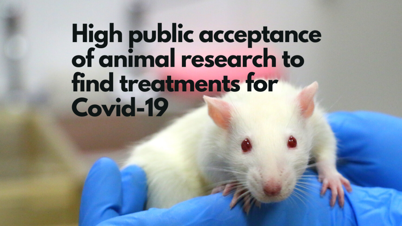 High public acceptance of animal research to find treatments for COVID-19