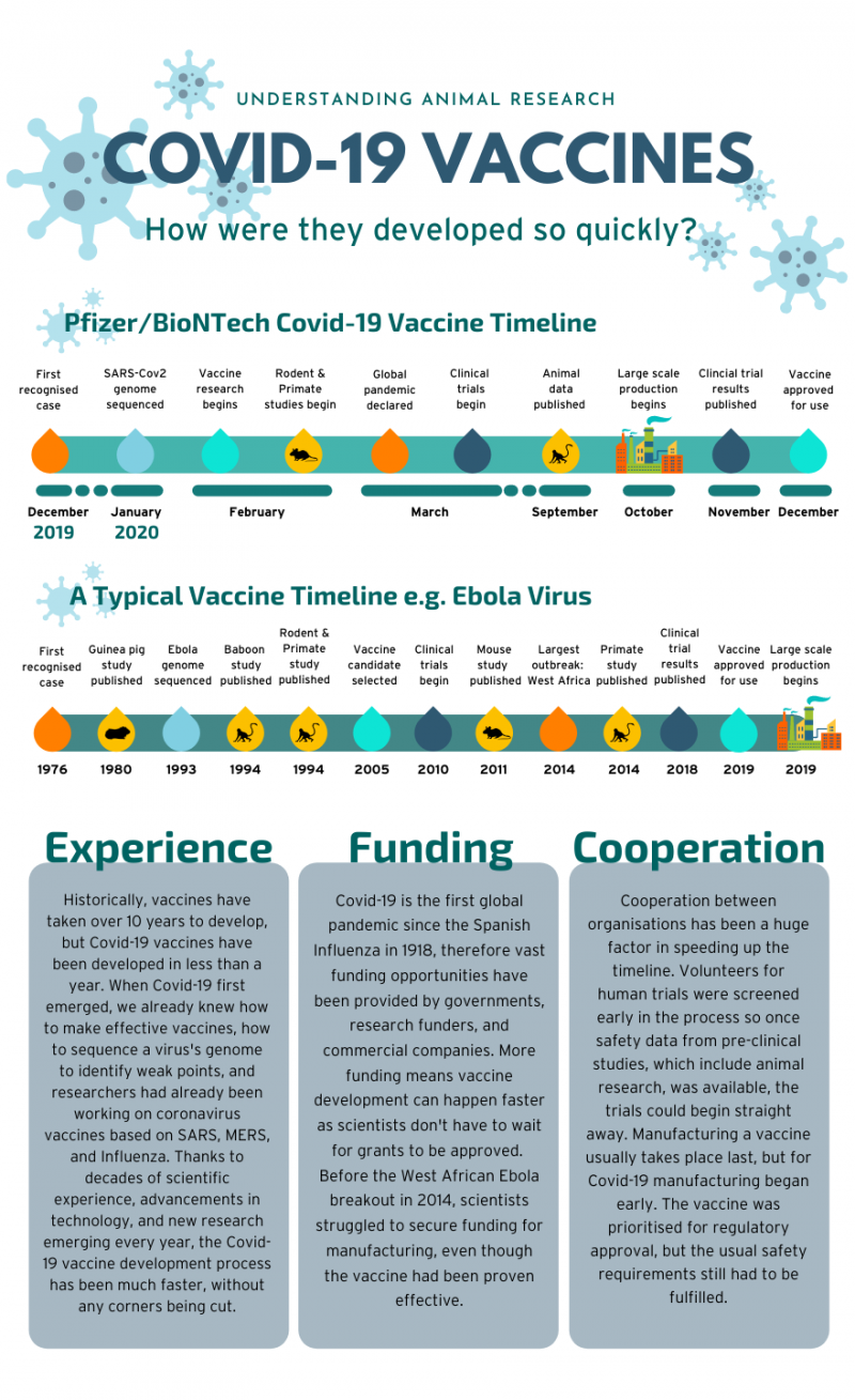Pfizer Covid 19 vaccine timeline