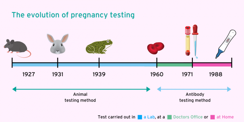 Evolution of pregnancy testing