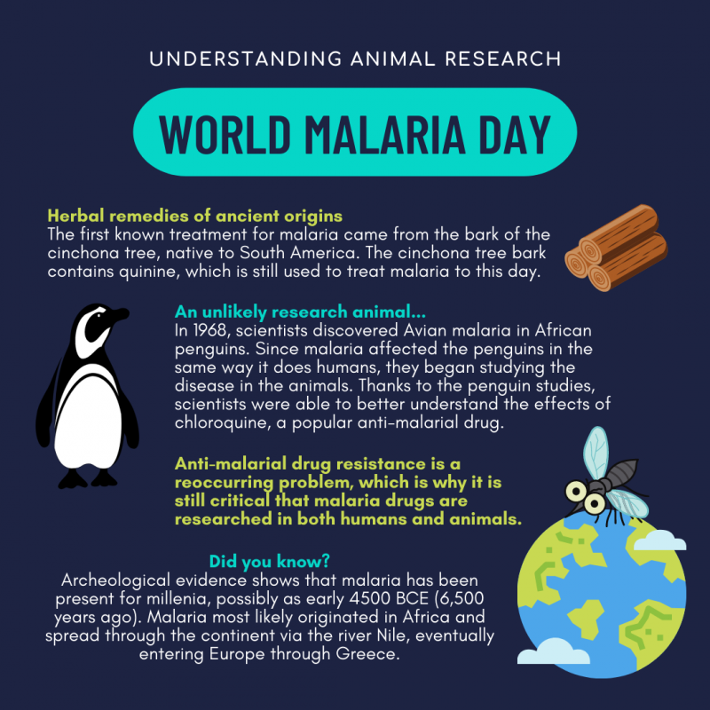 World Malaria Day