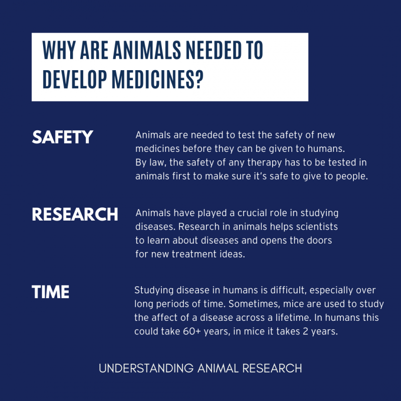 Why are animals used in research