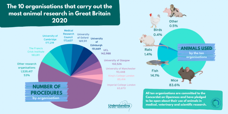 Ten organisations account for half of all animal research in Great Britain in 2020