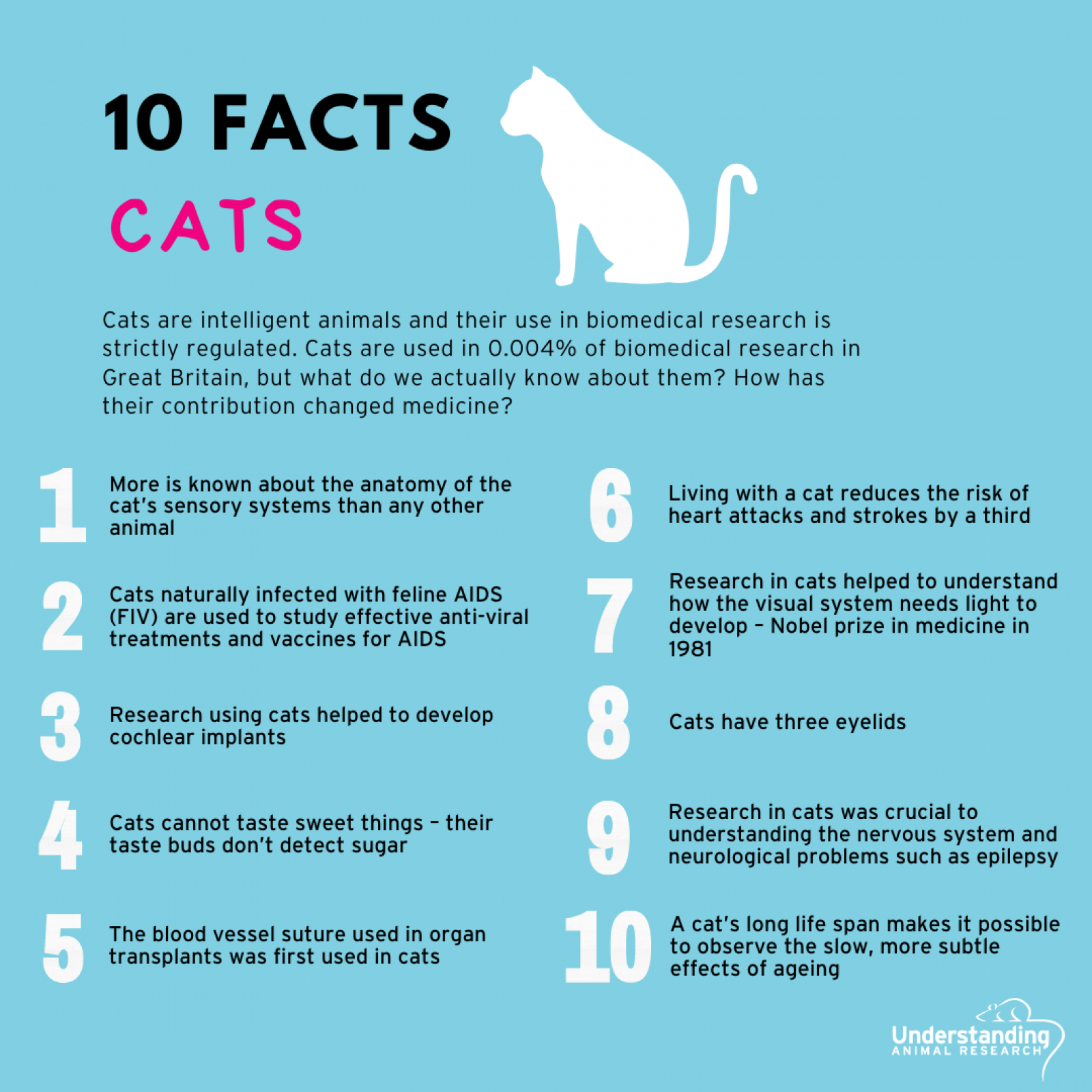 10 facts about cats